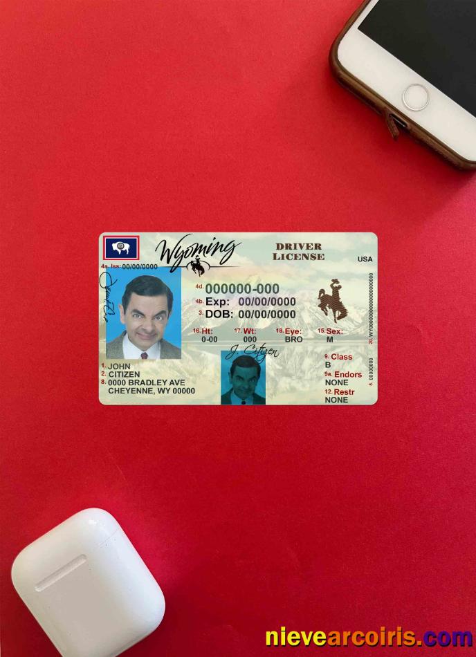 USA Wyoming state driving license photolook